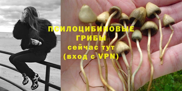 гашишное масло Богородицк